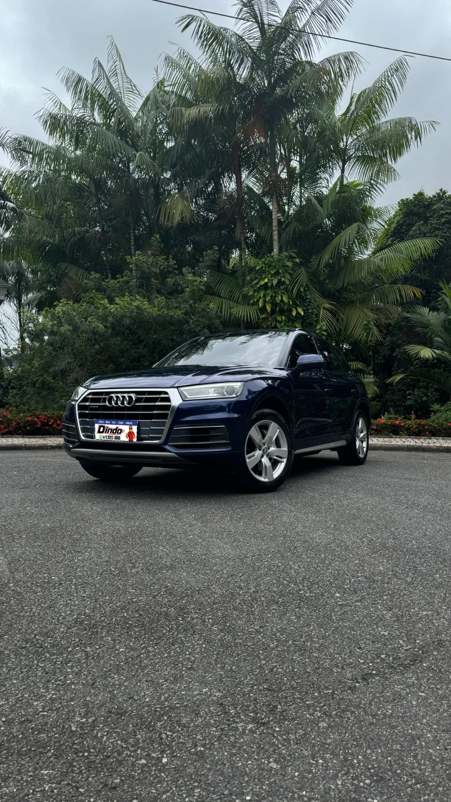 Audi Q5 Prestige Plus